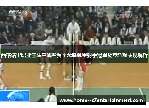 西格诺里职业生涯中哪些赛季荣膺意甲射手冠军及其辉煌表现解析