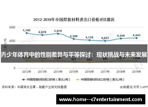 青少年体育中的性别差异与平等探讨：现状挑战与未来发展